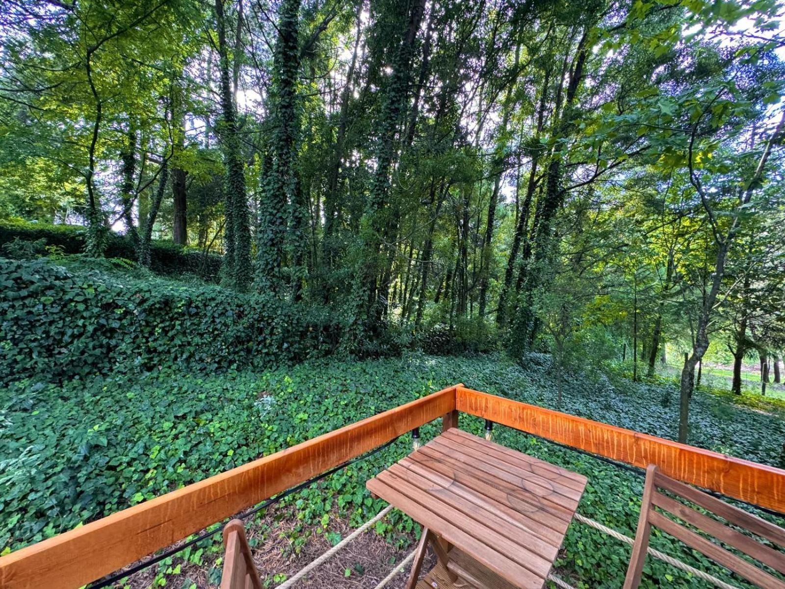 Glicinia Boutique Hotel Freamunde Экстерьер фото