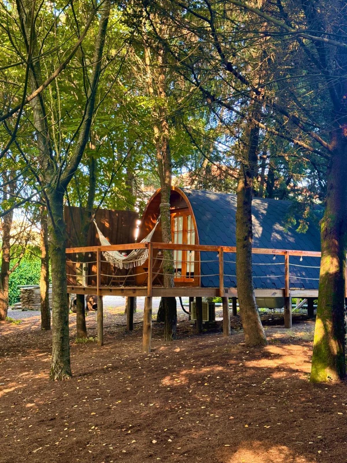 Glicinia Boutique Hotel Freamunde Экстерьер фото